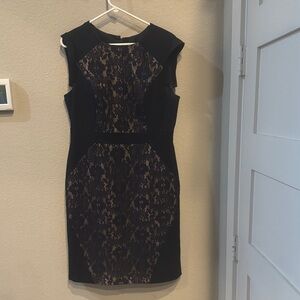 Adrianna Papell Navy Lace Mini Dress